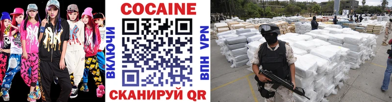 Купить закладки  Нестеровская  Cocaine Эквадор 