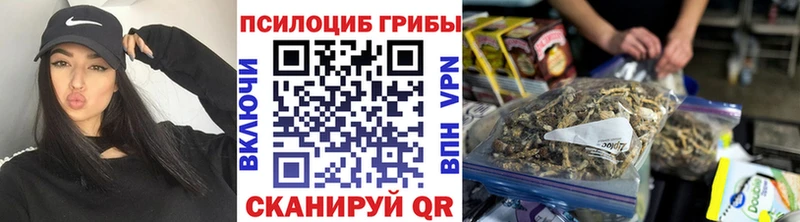 Псилоцибиновые грибы Psilocybine cubensis Купить Нестеровская